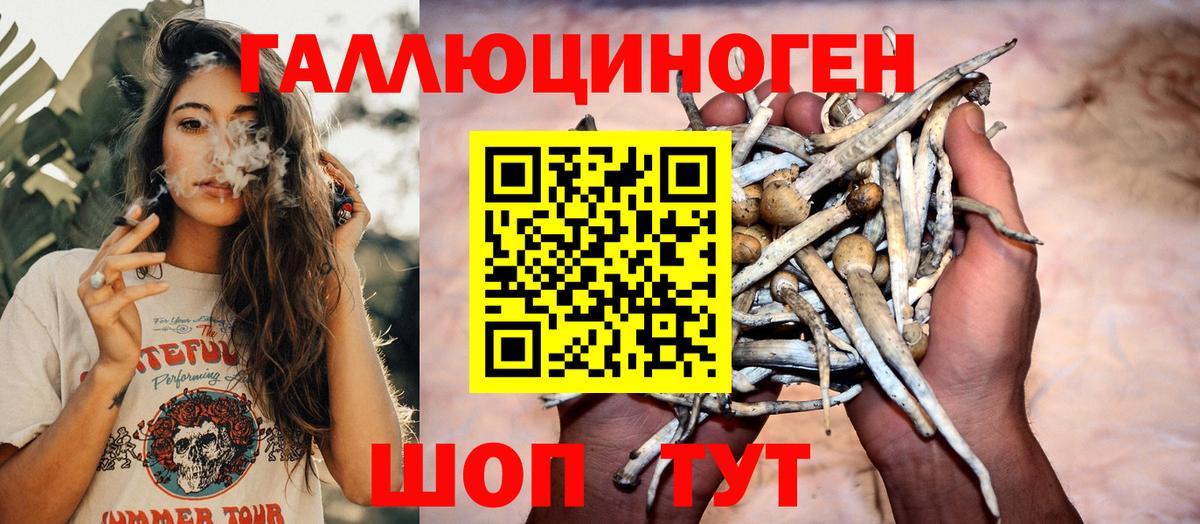 Медногорск  Псилоцибиновые грибы MAGIC MUSHROOMS  Вход с VPN  Псилоцибиновые грибы MAGIC MUSHROOMS 