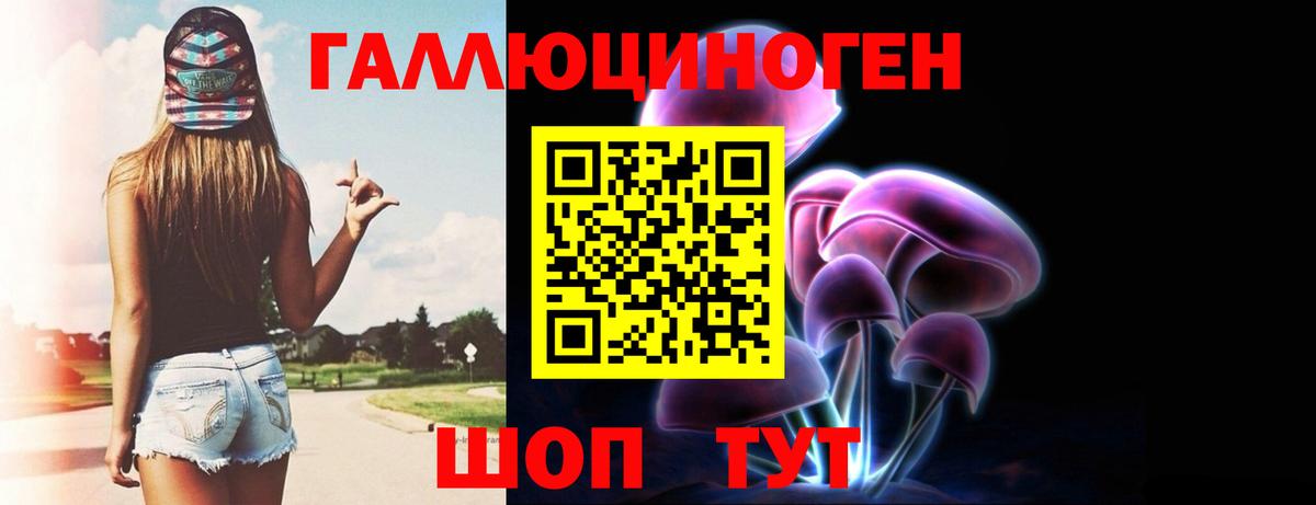 Галлюциногенные грибы Psilocybe Медногорск